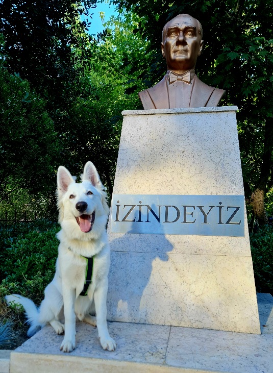 Ouzo - Location-Finder and Food-Tester. His recommendatinons are 100% trusted.